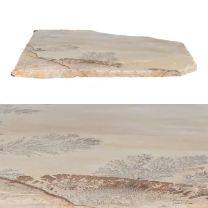 Fossil Sandstone, Random - Flagstone Paver