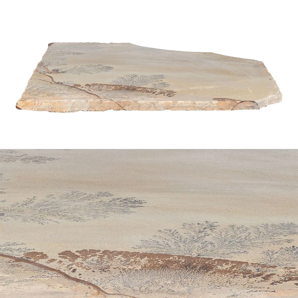 Fossil Sandstone, Random - Flagstone Paver